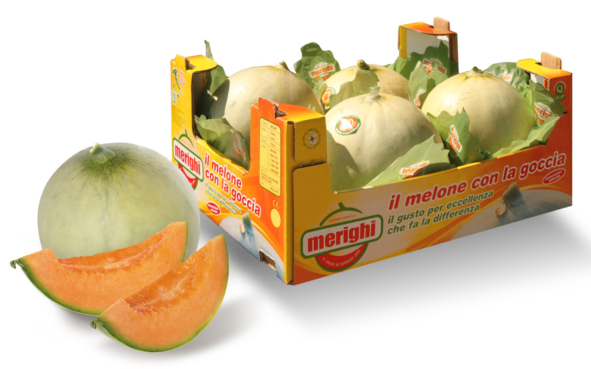 cassetta-melone-goccia