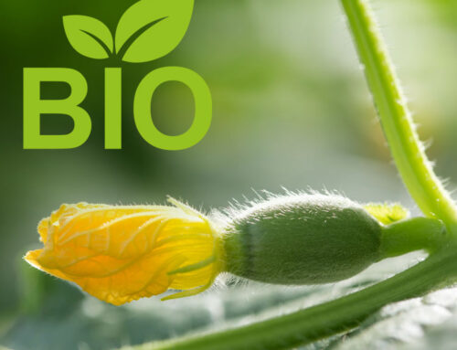 20 ettari a coltivazione biologica